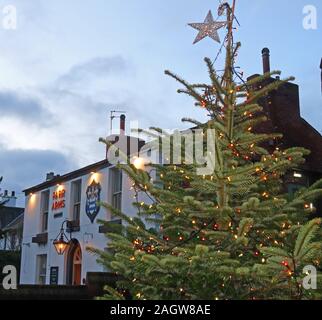 Parr Arms Inn und geschmückten Weihnachtsbaum, St Wilfrids Kirche, Church Lane, Grappenhall, Warrington, Cheshire, England in der Dämmerung Stockfoto