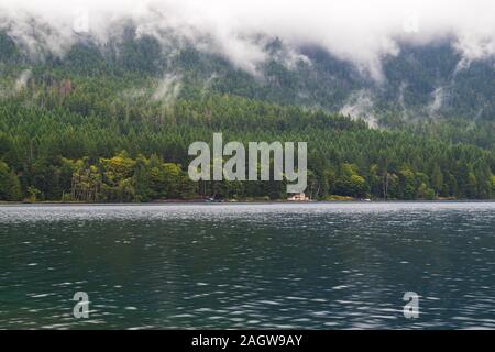 Foggy Lake Crescent in Olympic National Park Stockfoto
