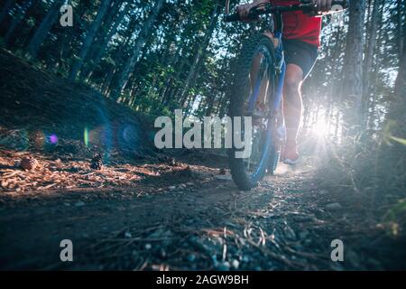 Biker, sein Fahrrad auf einem unbefestigten Weg durch den Wald, Xtreme radfahren. Stockfoto