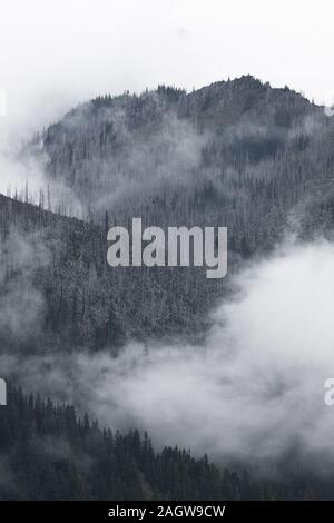 Anzeigen von verbrannten alpine Berggipfel von Hurrican Ridge in Olympic National Park Stockfoto