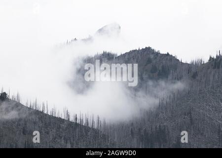 Anzeigen von verbrannten alpine Berggipfel von Hurrican Ridge in Olympic National Park Stockfoto
