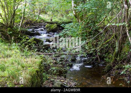 Ruhigen Bach fließt durch den östlichen Schottischen Hochland in der Nähe von Killiecrankie Stockfoto