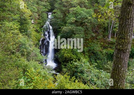 Die schwarze Auslauf ist Ein sechzig Meter Wasserfall im Wald in der Nähe von Pitlochry Szene hier durch gesunden grünen Bäumen spät im Sommer Stockfoto