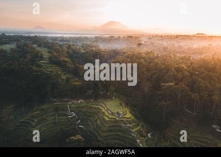 Dramatischer Sonnenaufgang über dem tegallalang Reisterrassen mit der Vulkan Gunung Agung im Hintergrund auftaucht, in der Nähe von Ubud, Bali, Indonesien Stockfoto