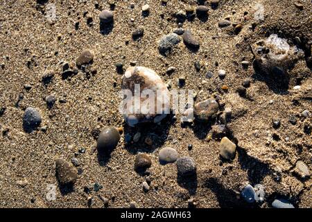 Nasser Sand am Strand im Winter Stockfoto