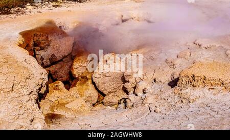 Rauch aus dem Roten Wasserspeier Geysir im unteren Geyser Basin im Fountain Paint Pot Trail im Yellowstone National Park, Wyoming, USA Stockfoto