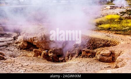 Rauch aus dem Roten Wasserspeier Geysir im unteren Geyser Basin im Fountain Paint Pot Trail im Yellowstone National Park, Wyoming, USA Stockfoto