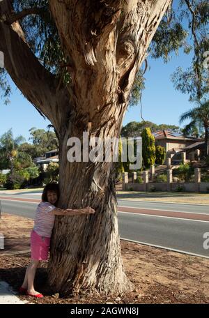 Frau gesehen und umarmte einen Baum in Joondalup, Perth, Western Australia. Stockfoto