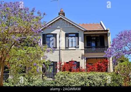 Typische historische Australischen Gebäude mit blühenden Jacaranda Baum im Vordergrund Stockfoto