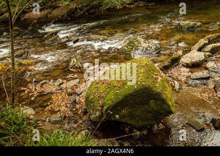 Fluss auf Exmoor Stockfoto