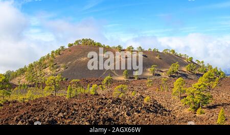 Schwarze Vulkan Felder. Chinyero, Insel Teneriffa. Stockfoto