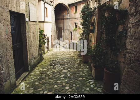Gasse der mittelalterlichen alten Tuff City Sorano mit grünen Pflanzen und Kopfsteinpflaster, Reisen Italien Hintergrund Stockfoto