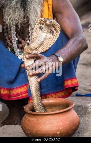 VARANASI, INDIEN - 18. MÄRZ 2017: heilige Mann mit gefährlichen Kobra Schlange in Varanasi, Indien. Stockfoto