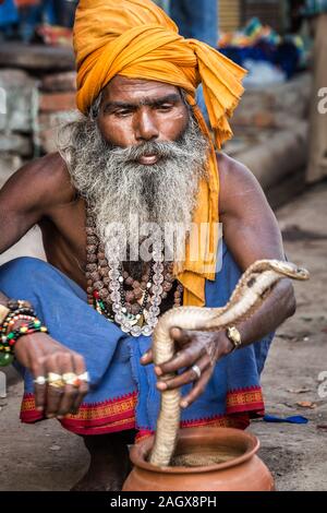 VARANASI, INDIEN - 18. MÄRZ 2017: heilige Mann mit gefährlichen Kobra Schlange in Varanasi, Indien. Stockfoto