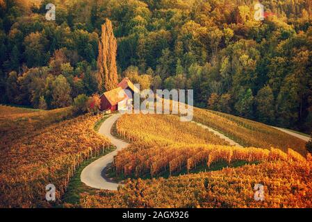 Berühmte herzförmige Weinstraße in Slowenien, Ansicht von Spicnik in der Nähe von Maribor. Natürliche Landschaft landwirtschaftlichen Hintergrund. Stockfoto