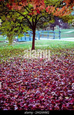 Schiller Park im Herbst Farben, Deutsche Dorf Nachbarschaft, Columbus, Ohio, USA Stockfoto