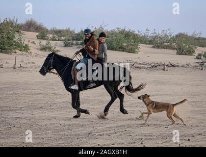 Essaouria, Marokko - September 2017: Mann und Frau ein Pferd Reiten am Strand entlang, gefolgt von einem Hund Stockfoto