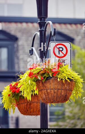 Red Geranien Blumen im Korb hängen auf der Straßenlaterne Pol mit kein Parkplatz schild Hintergrund Stockfoto