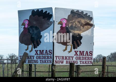 Schilder Werbung Weihnachten Truthähne für Bestellung (für Verkauf) an einer britischen Farm Stockfoto