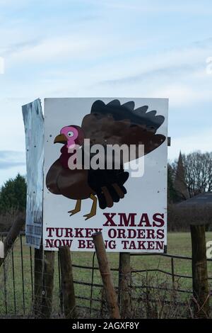 Schilder Werbung Weihnachten Truthähne für Bestellung (für Verkauf) an einer britischen Farm Stockfoto