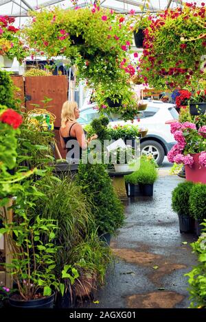 Montreal, Kanada - Juni, 2018: Kanadische florist stehende Frau unter den Pflanzen und Blumen in einem Blumenladen in Atwater Market in, Montreal, Kanada. Stockfoto