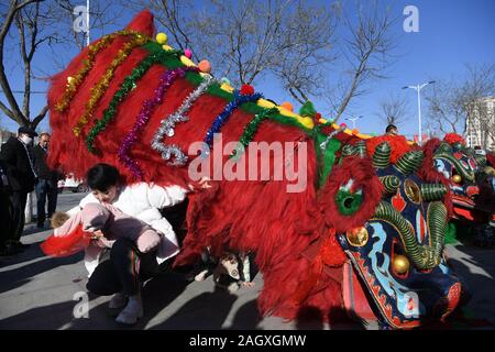 Yongdeng, China. 22 Dez, 2019. Menschen Ente durch den Löwen Kostüm nach dem Lion Dance Rehearsal, betet für gutes Glück in Yongdeng County, Lanzhou, der Hauptstadt der Provinz Gansu im Nordwesten Chinas, Dez. 22, 2019. Lion Dance ist eine traditionelle darstellende Kunst Chinas. Yongdeng Lion Dance, ein lokaler Stil von Lion Dance für seine unverwechselbare und komplizierte Bewegung bekannt, wurde als die immateriellen Kulturerbes der Provinz Gansu im Jahr 2011 aufgeführt. Der Löwe Kostüm, von Holzleisten im Inneren, ist etwa 2,8 Meter lang und 1 unterstützt. Quelle: Xinhua/Alamy leben Nachrichten Stockfoto