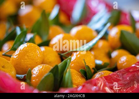 Bündel frische Mandarinen Orangen auf dem Markt Stockfoto