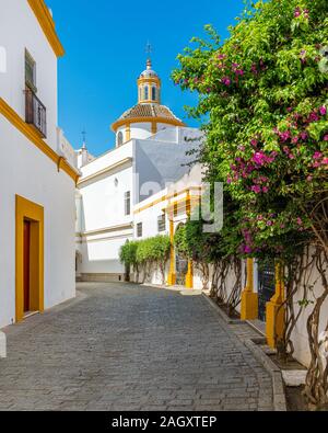 Malerische Anblick in der Plaza de Toros von Sevilla, Andalusien, Spanien. Stockfoto