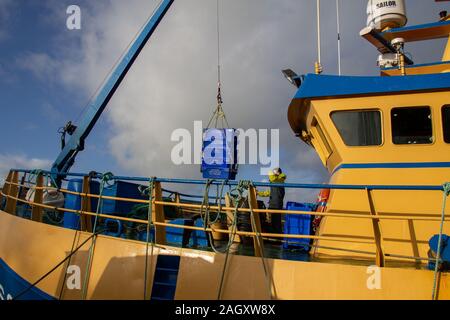 Irische Trawler landen seine Fische fangen in der Union Halle Hafen West Cork Irland. Stockfoto