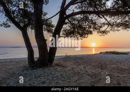 Strand in der Nähe von Paragga Glarokavos Strand in Halbinsel Kassandra. Chalkidiki, Griechenland Stockfoto