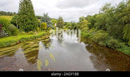 Der Fluss Exe in Bickleigh, Devon, England, UK. (HDR) Stockfoto