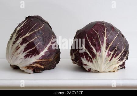 Zwei Köpfe von rotkohl auf einem Regal Stockfoto