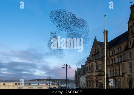 Aberystwyth, Ceredigion, Wales, UK. 22. Dezember 2019 Großbritannien Wetter: Wie die Sonne beginnt am Tag der Wintersonnenwende, Tausende von Staren swoop oberhalb der Stadt Aberystwyth, Bildung murmurations bevor sie sich auf die tragenden Bügeleisen Struktur des Royal Pier, wo Sie relativ Winter Übernachtung Wärme finden. © Ian Jones/Alamy leben Nachrichten Stockfoto