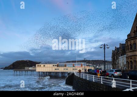 Aberystwyth, Ceredigion, Wales, UK. 22. Dezember 2019 Großbritannien Wetter: Wie die Sonne beginnt am Tag der Wintersonnenwende, Tausende von Staren swoop oberhalb der Stadt Aberystwyth, Bildung murmurations bevor sie sich auf die tragenden Bügeleisen Struktur des Royal Pier, wo Sie relativ Winter Übernachtung Wärme finden. © Ian Jones/Alamy leben Nachrichten Stockfoto