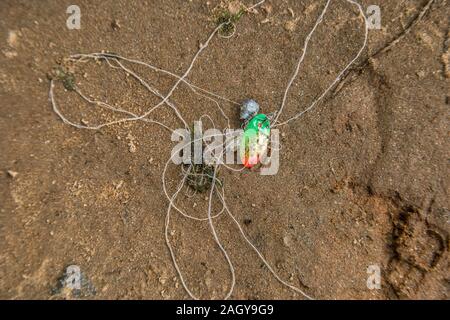 Ein Angeln Köder am Strand am Fluss in den Sand mit einem Blei Gewicht und Haken auf dem verwickelt Filament an einem sonnigen Tag im Sommer verworfen Stockfoto