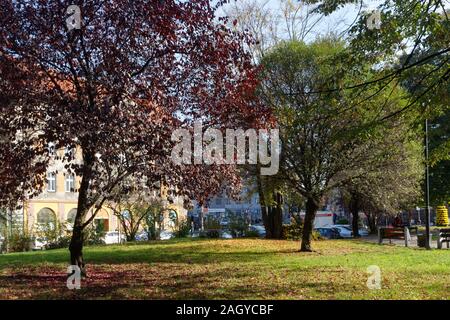 Ein Park in St. Andrew's Square in Kattowitz im Herbst Stockfoto