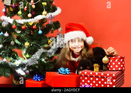 Miss Santa bietet kleinen Gabe an Hunde mit Weihnachtsbaum. Kind mit glücklichen Gesicht entpackt gibt präsentiert auf roten Hintergrund. Mädchen in Weihnachtsmütze spielt mit Welpen und goldene Kugel. Pet für Weihnachten Konzept Stockfoto