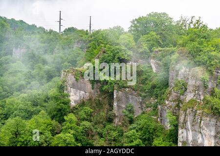 Nebel im dichten grünen Wald auf den felsigen Klippen. Tops von hohen grünen Bäume mit dichten Nebel. Laubwald im Nebel. Stromleitungen in die Berge. Stockfoto