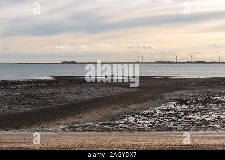 Strand von West Mersea, mersea Island, Essex, Großbritannien. Menschen, Familien zu Fuß bei Ebbe des Flusses Blackwater mit Bradwell-on-Sea Halbinsel jenseits Stockfoto