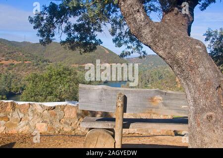 Alte handgefertigte Holzbank unter dem Olivenbaum. Blick auf den See. Sevilla, Spanien Stockfoto