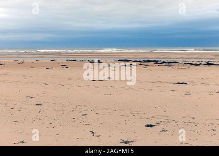 Eine weite Strand erstreckt sich auf die ferne Wasser bei Ebbe am Strand Alnmouth, Northumberland, als ein Sturm über am Horizont überschritten hat. Stockfoto