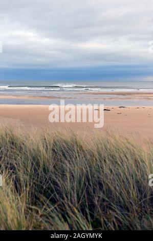 Eine weite Strand erstreckt sich auf die ferne Wasser bei Ebbe am Strand Alnmouth, Northumberland, als ein Sturm über am Horizont überschritten hat. Stockfoto