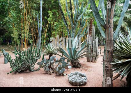 Jardin Majorelle, Gärten, restauriert von Fashion Designer Yves Saint Laurent, Marrakesch, Marrakesch, Marokko, Nordafrika Stockfoto