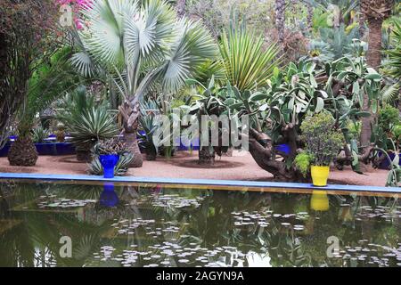 Jardin Majorelle, Gärten, restauriert von Fashion Designer Yves Saint Laurent, Marrakesch, Marrakesch, Marokko, Nordafrika Stockfoto