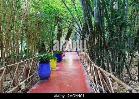 Jardin Majorelle, Gärten, restauriert von Fashion Designer Yves Saint Laurent, Marrakesch, Marrakesch, Marokko, Nordafrika Stockfoto