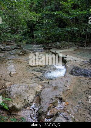 Clean Green Emerald Wasser vom Wasserfall durch kleine Bäume - große Bäume, Farbe Grün umgeben, Erawan Wasserfall, Provinz Kanchanaburi, Thailand Stockfoto