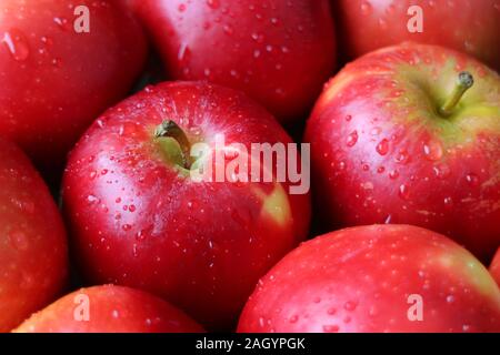 Closeup Haufen reife rote Äpfel mit Wassertropfen Stockfoto