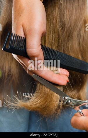 Hand der Friseur Haare schneiden mit Schere, Nahaufnahme Stockfoto