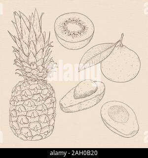 Exotische Früchte. Hand gezeichnete Skizze auf beigen Hintergrund Stock Vektor