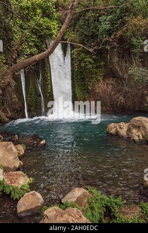 Den Wasserfall des Banyas auf dem hermon Stream auf den Golanhöhen Israel fließt durch die üppige subtropische Vegetation und Felsbrocken Stockfoto